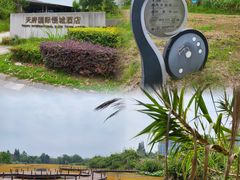 -桤木河湿地公园