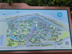 -上海滨江森林公园