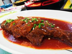 红烧鲈鱼-正阳春烤鸭店(杨楼店)