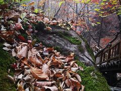 -本溪老边沟风景区