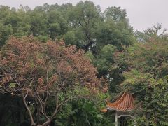 -晓港公园