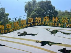 -西双版纳原始森林公园