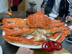 -蚝专家