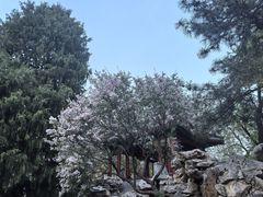 -宣武艺园
