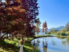 -呈贡滇池生态湿地公园