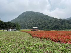 -广州市石门国家森林公园