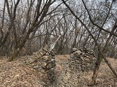 -帽儿山国家森林公园