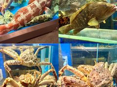 -德米火锅(深圳湾1号旗舰店)