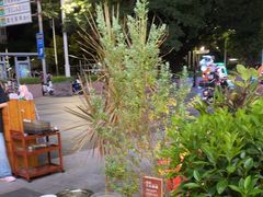 -木屋烧烤(南山蛇口招商花园城店)