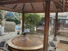 -春晖园度假酒店温泉