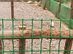 -西部长青自然儿童乐园