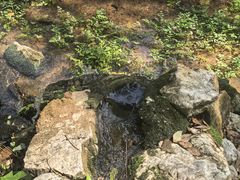 -杭州花家山庄