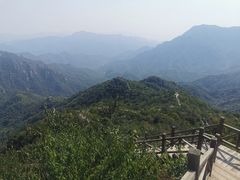 -大岭沟猕猴桃谷风景区