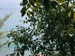 -抚仙湖禄充风景区