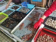 -南沙十九涌渔人码头-南门