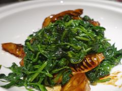 素汁豆苗-西郊5号·Maggie 5