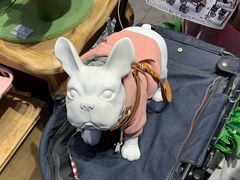 -狗道宠物(常熟印象城店)