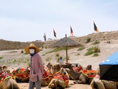 -镇北堡西部影城