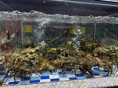 -寻味顺德·珍之宝酒楼(银钻店)