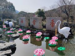 -香雪海