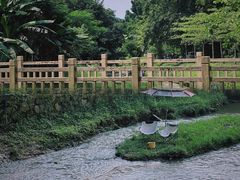 -广州市帽峰山景区