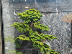 -毛辣果·贵州红酸汤牛肉火锅(西单店)