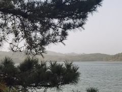 -天目湖山水园