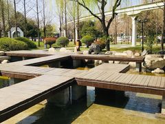 -唐城墙遗址公园