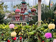 -南宫五洲植物乐园