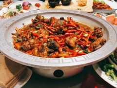 -龙泉小镇(科圣路店)