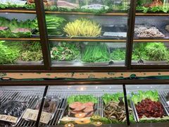 自助取餐区-银生食府·普洱菜(金星店)