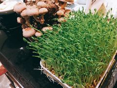 -捞神汤物料理(正大广场店)