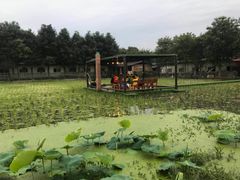 -洪湖家庭农场·团建·露营·会议