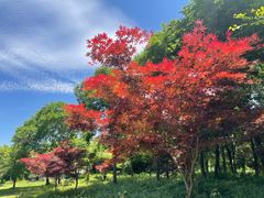 -白塔湖国家湿地公园