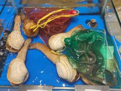 -映像威海·海鲜味道(经区店)