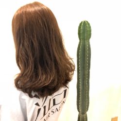 -涩谷· Hair Salon