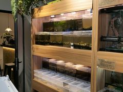 -酷以爬仙阁实体爬宠店·守宫·蜥蜴·专业繁育