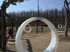 -黄海国家森林公园