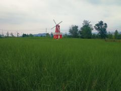 -羊亭河湿地公园