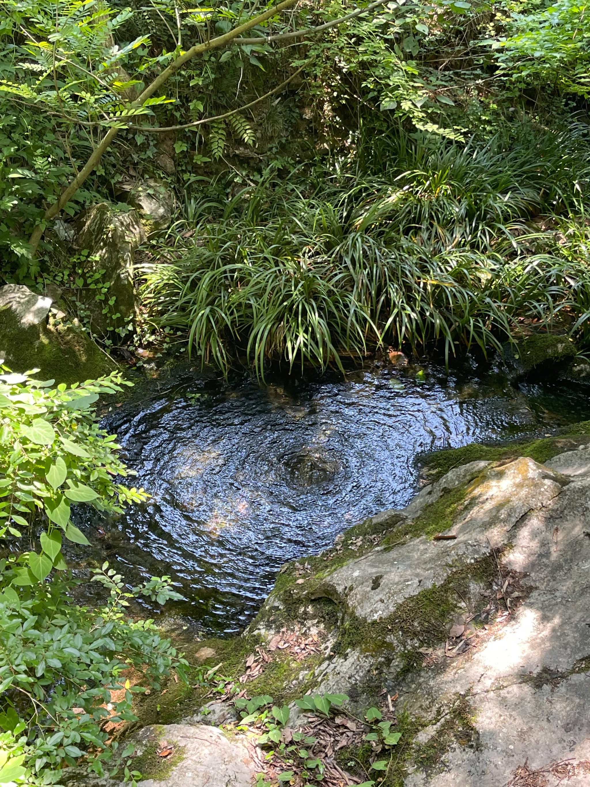 玉女潭风景区在哪里图片