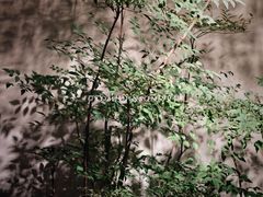 -四方茶集·茶馆(南山科技园店)
