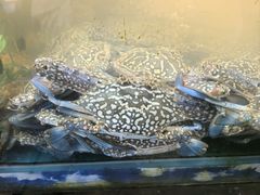 -乐在集市海鲜大排档(平潭店)