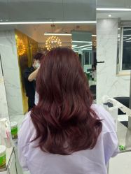 -潘多拉Hairsalon