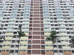 -彩虹村