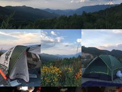 -武陵山森林公园