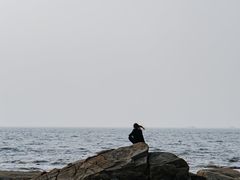 -辽宁团山国家级海洋公园