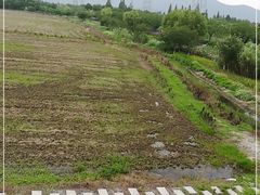 -长田漾湿地公园