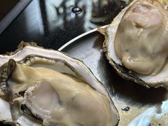 -蚝堡·生蚝海鲜烧烤物种起源•海肠捞饭(刘公岛店)