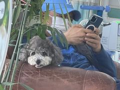 -欧奕国际动物医院