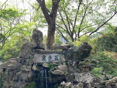 -上海醉白池公园